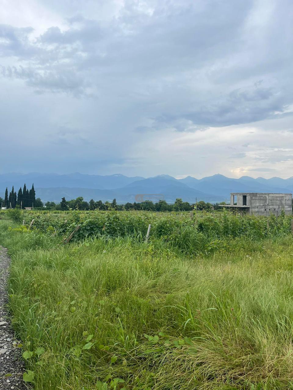 მიწის ნაკვეთი სოფელ ნასამხრალში