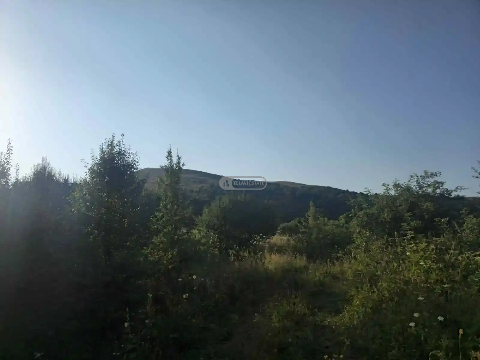 Инвестиционный земельный участок в Тетрицхлебах