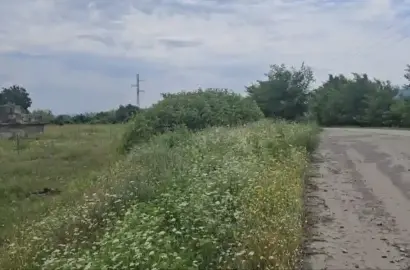 მიწის ნაკვეთი გურჯაანში (ყიტაანში)