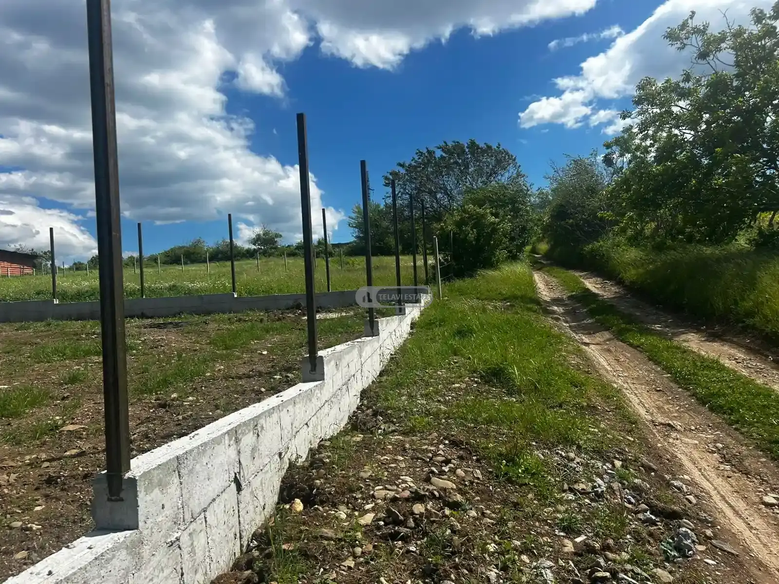 Дом в Вардисубани