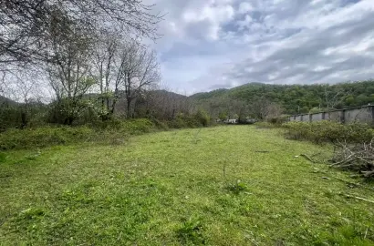 Land plot in Kvareli