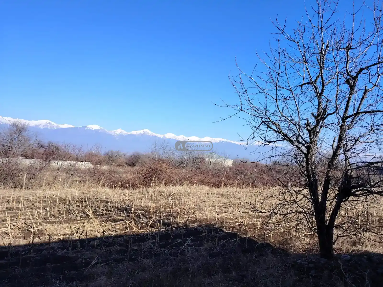 მშენებარე სახლი კისისხევში