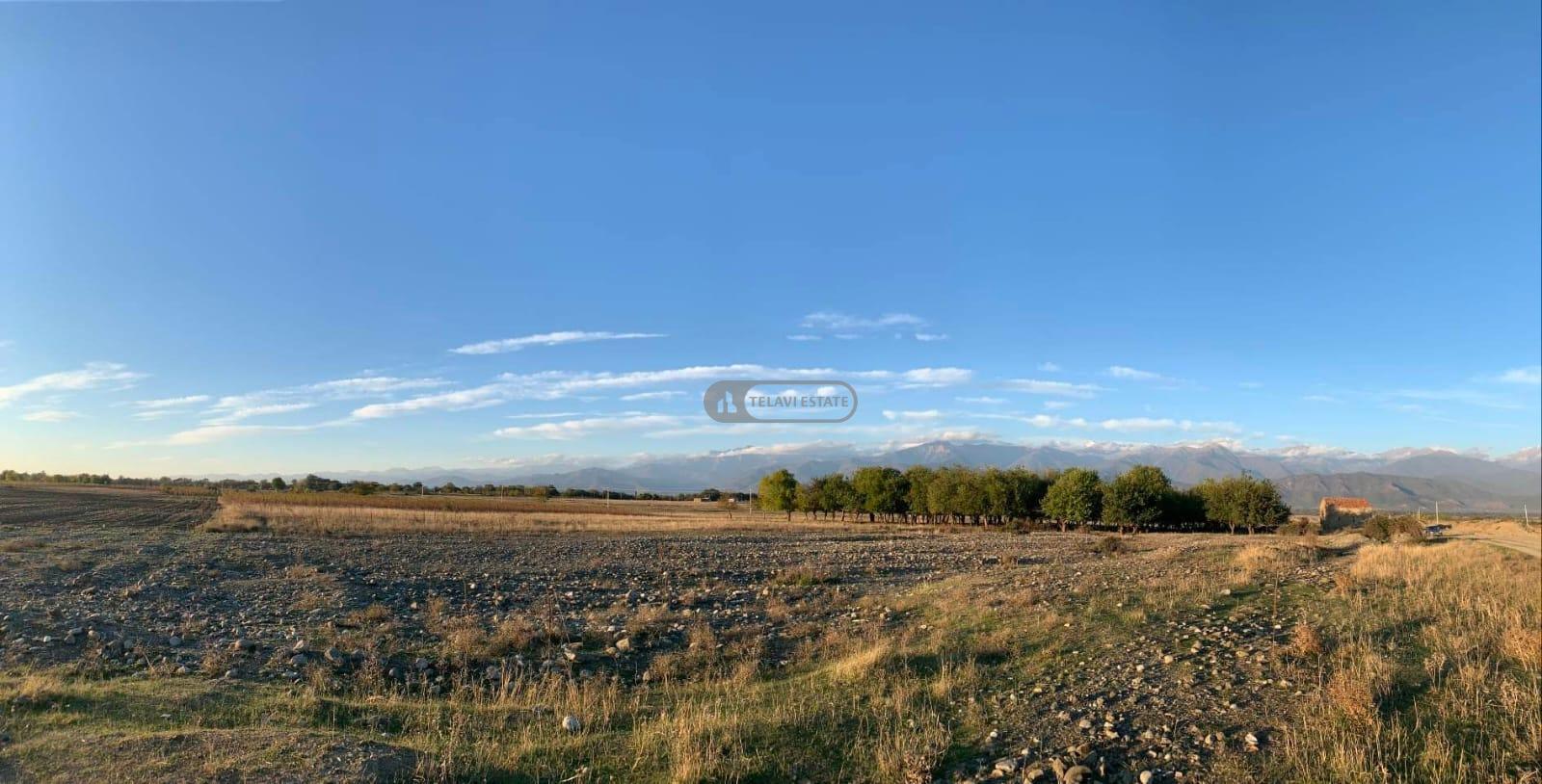 მშენებარე სახლი კისისხევში