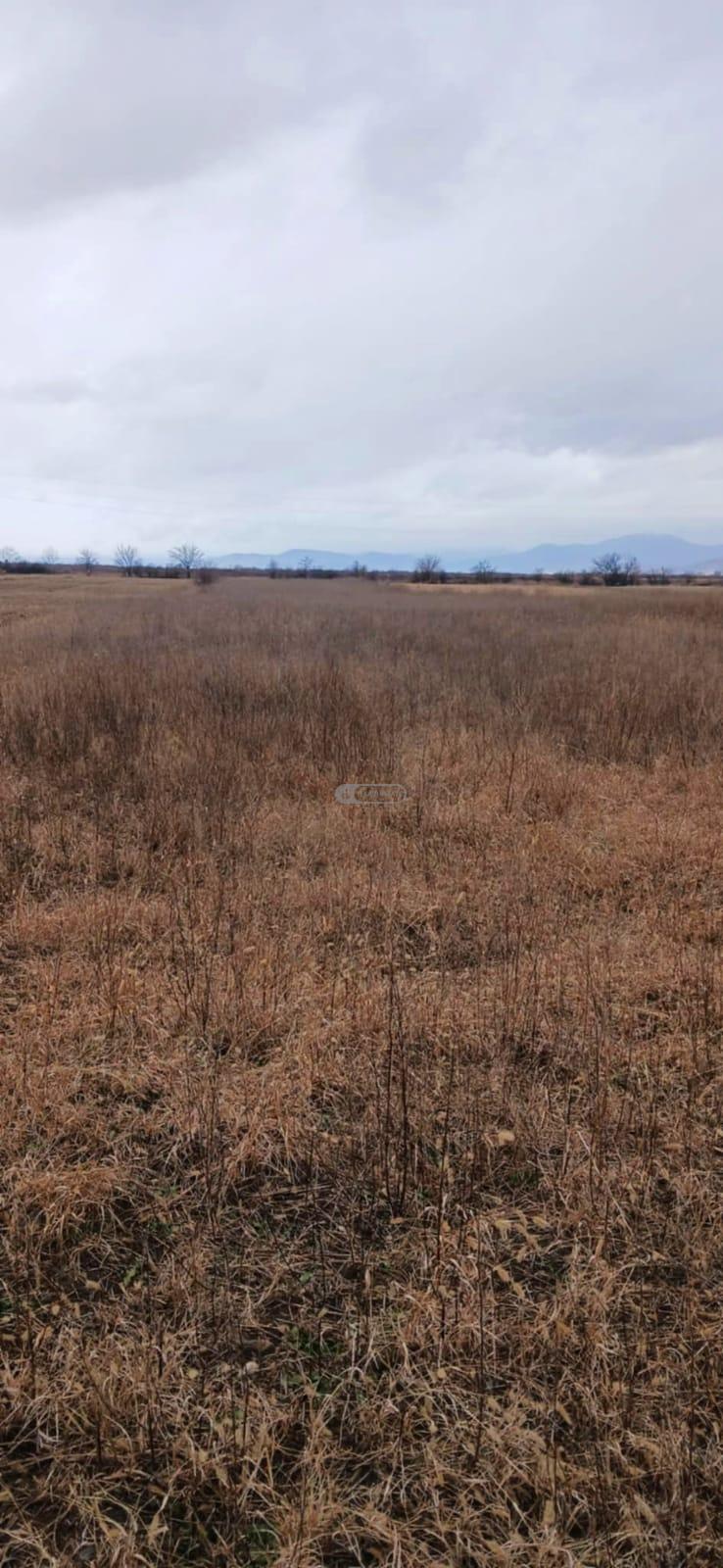 მიწის ნაკვეთი გულგულაში