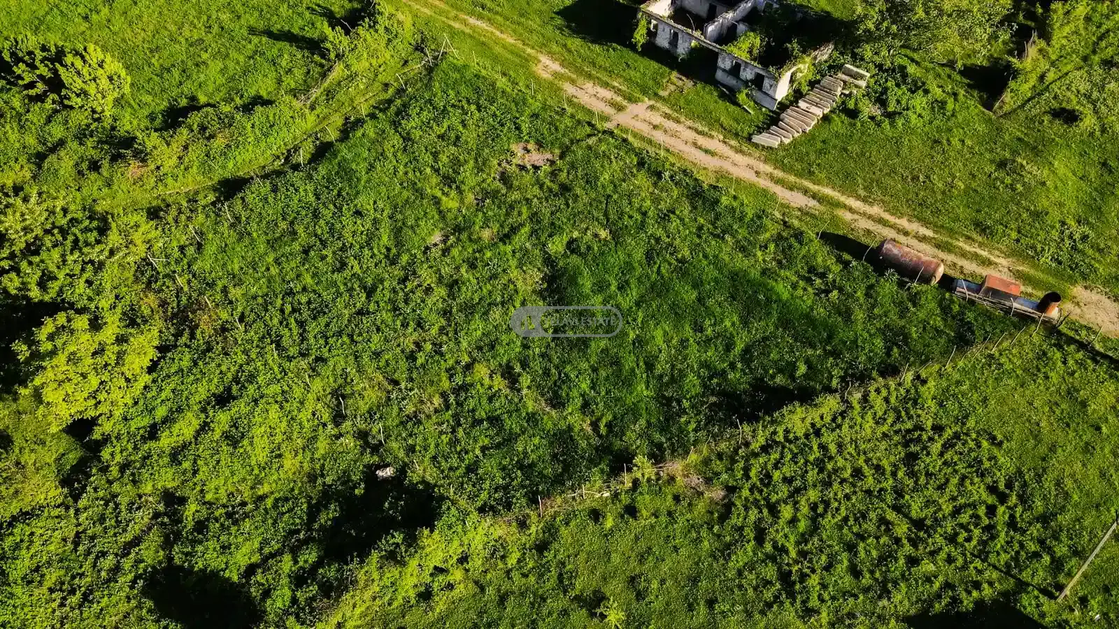 მიწის ნაკვეთი იყალთოში