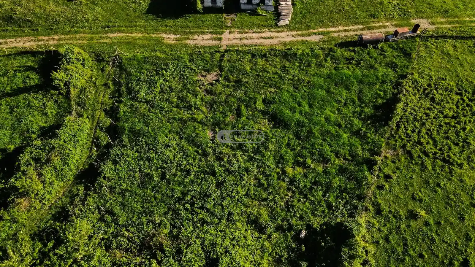 მიწის ნაკვეთი იყალთოში