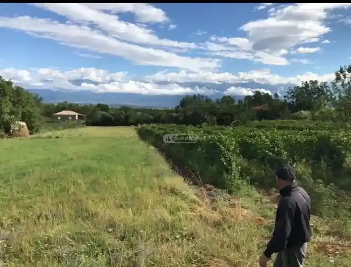 სამოსახლო მიწის ნაკვეთი იყალთოში