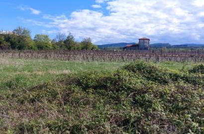 მიწის ნაკვეთი წინანდალში