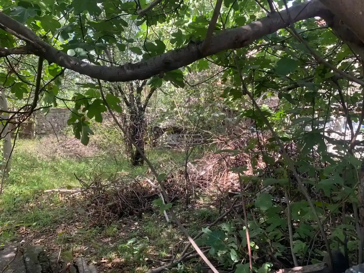 Residential Land Plot for Sale – Telavi