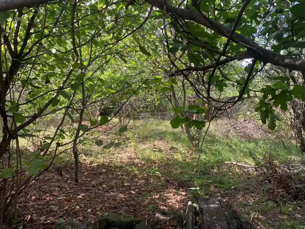 Residential Land Plot for Sale – Telavi