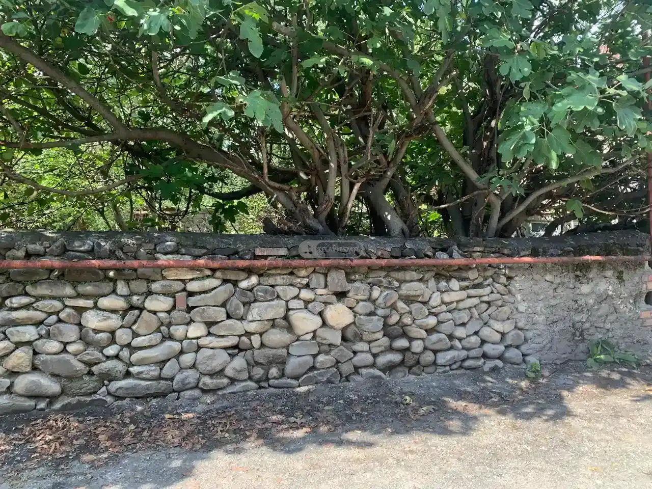 Residential Land Plot for Sale – Telavi