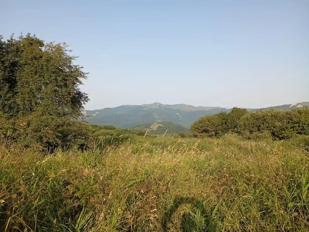 Инвестиционный земельный участок в селе Кобадзе