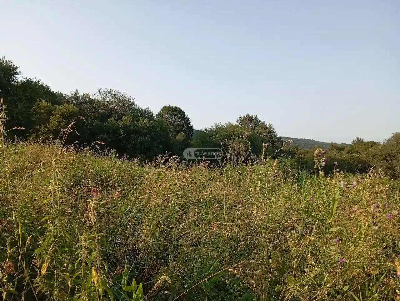 Инвестиционный земельный участок в селе Кобадзе