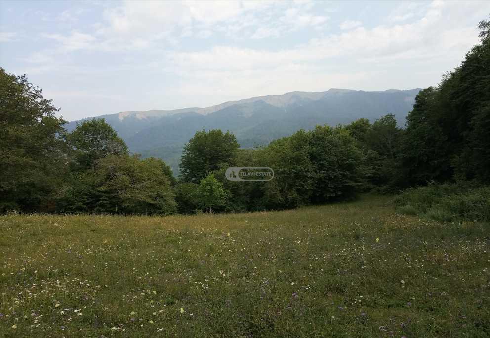 მიწის ნაკვეთი სოფელ თეთრიწყლებში