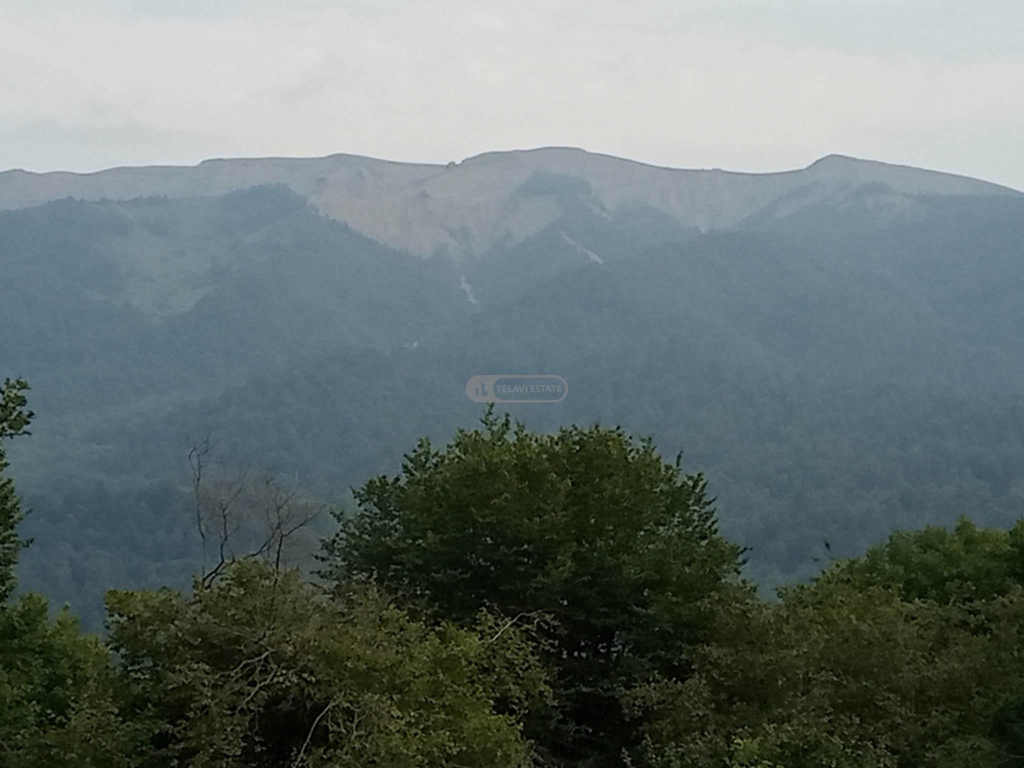 მიწის ნაკვეთი სოფელ თეთრიწყლებში