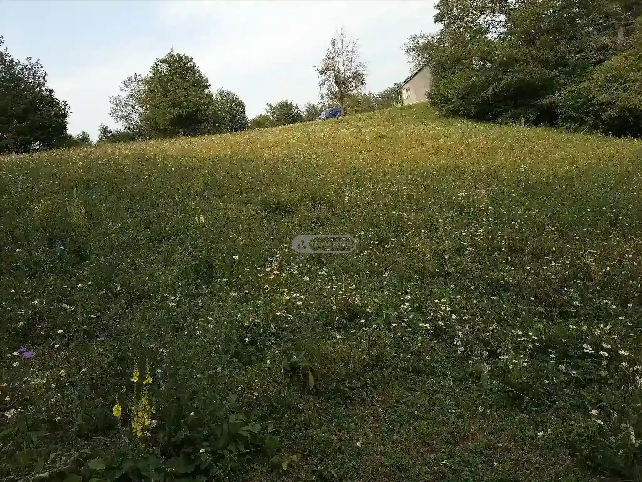 მიწის ნაკვეთი სოფელ თეთრიწყლებში