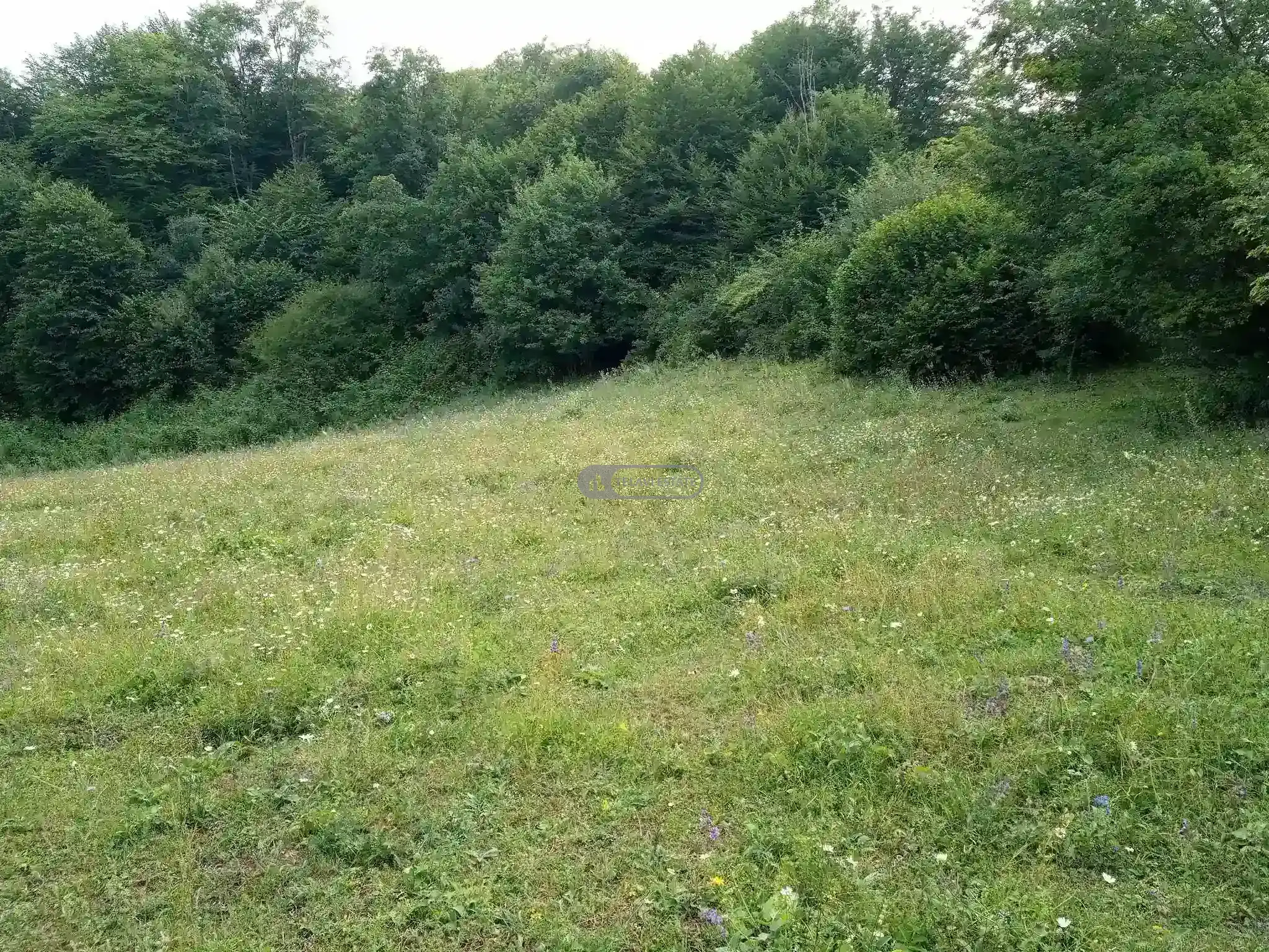 მიწის ნაკვეთი სოფელ თეთრიწყლებში