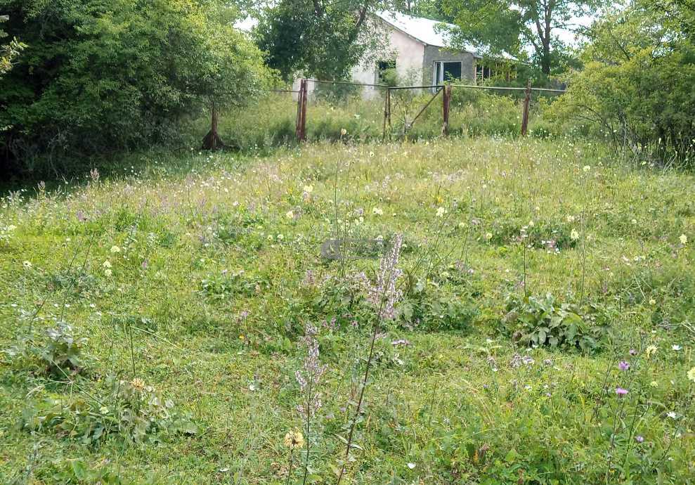 მიწის ნაკვეთი სოფელ თეთრიწყლებში