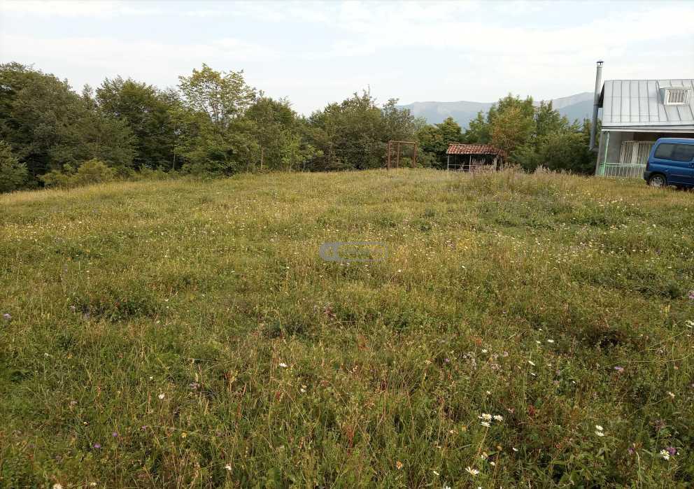 მიწის ნაკვეთი სოფელ თეთრიწყლებში