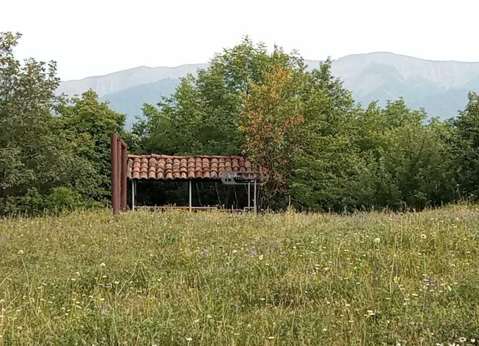 მიწის ნაკვეთი სოფელ თეთრიწყლებში