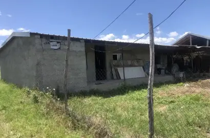 ფერმა რუისპირში