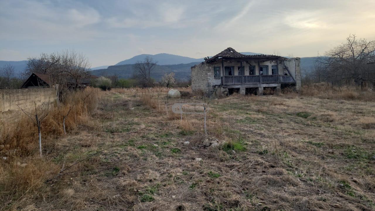 Земельный участок с садом в Чабинаани