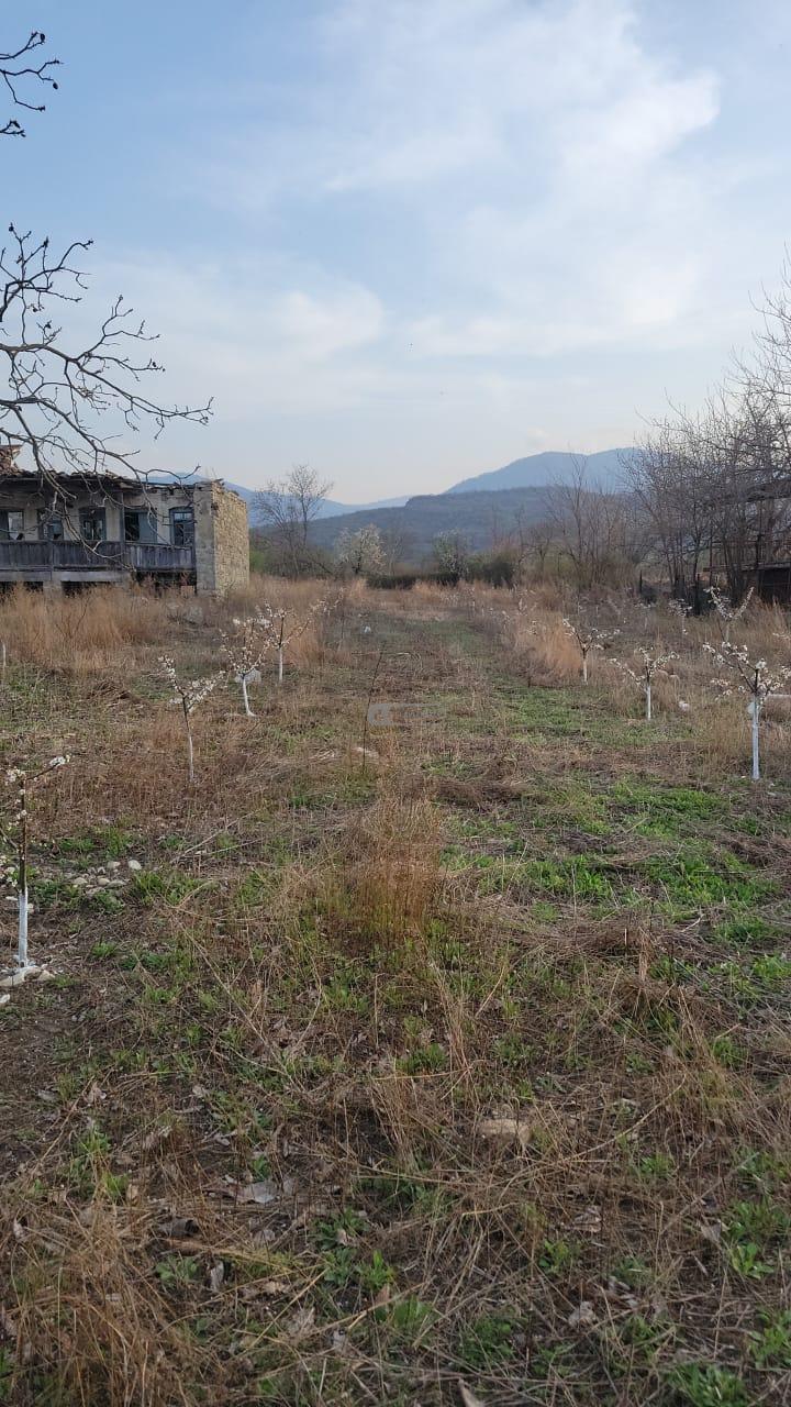 Земельный участок с садом в Чабинаани