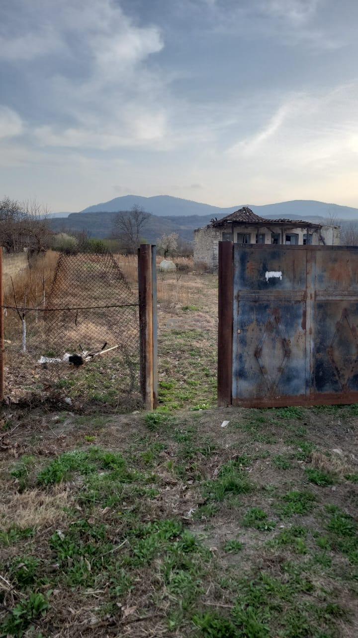 Земельный участок с садом в Чабинаани