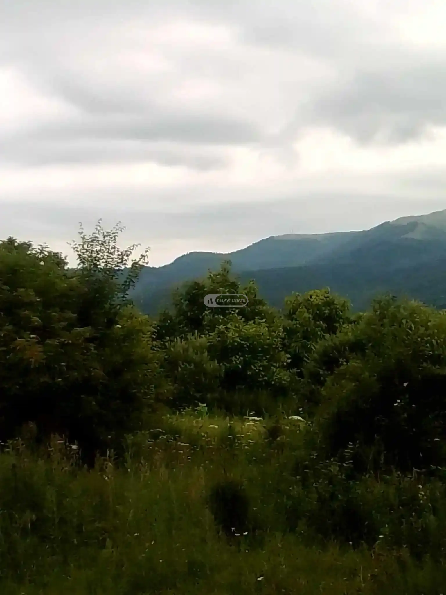 Жилой земельный участок в Тетрицхлебах