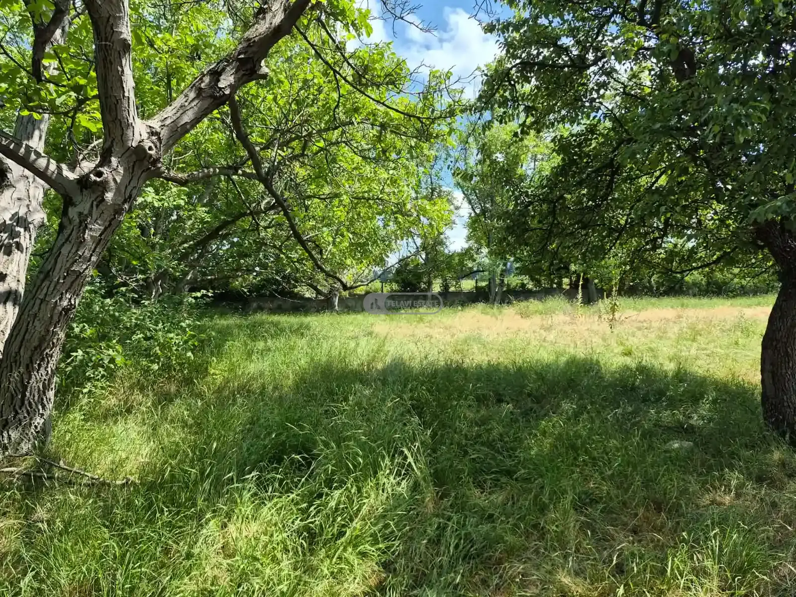 Commercial Land Plot