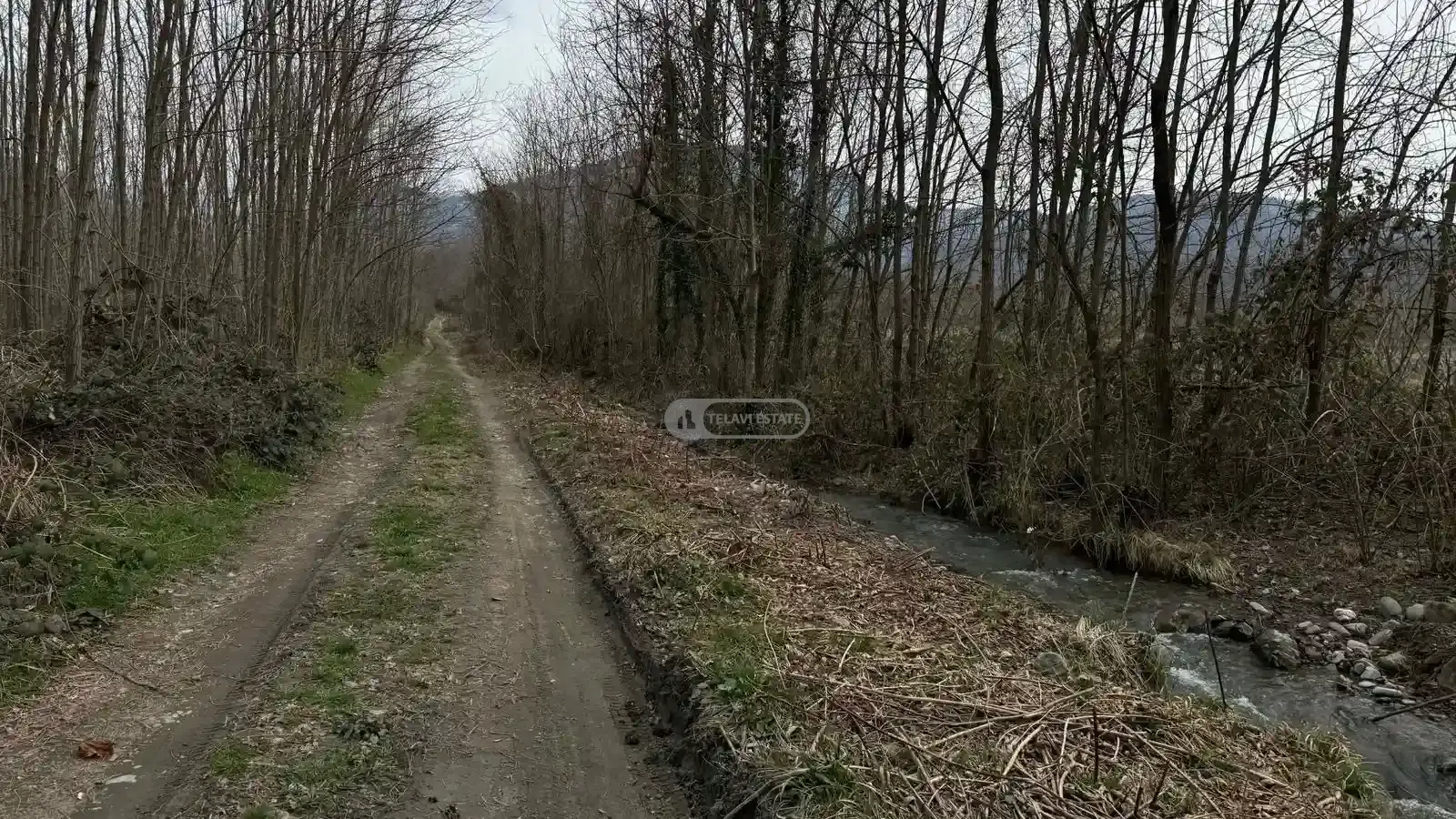 Land plot in Lagodekhi, Matsimi