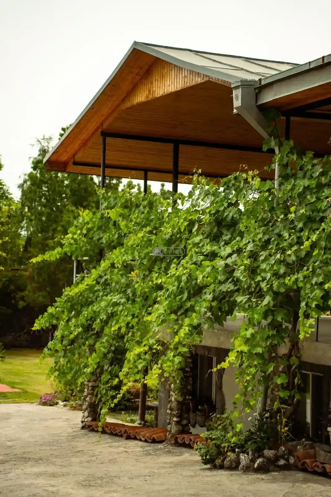 Hotel Resort in Kvareli