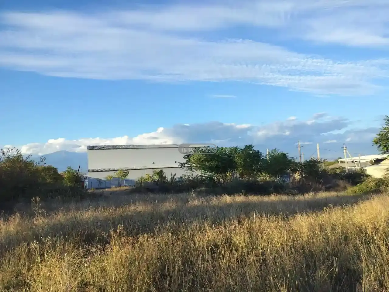 მიწის ნაკვეთი თელავში