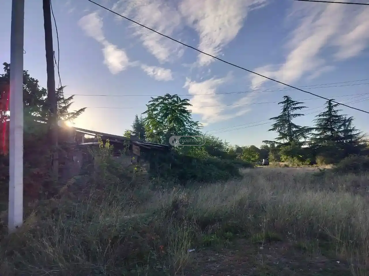 მიწის ნაკვეთი თელავში