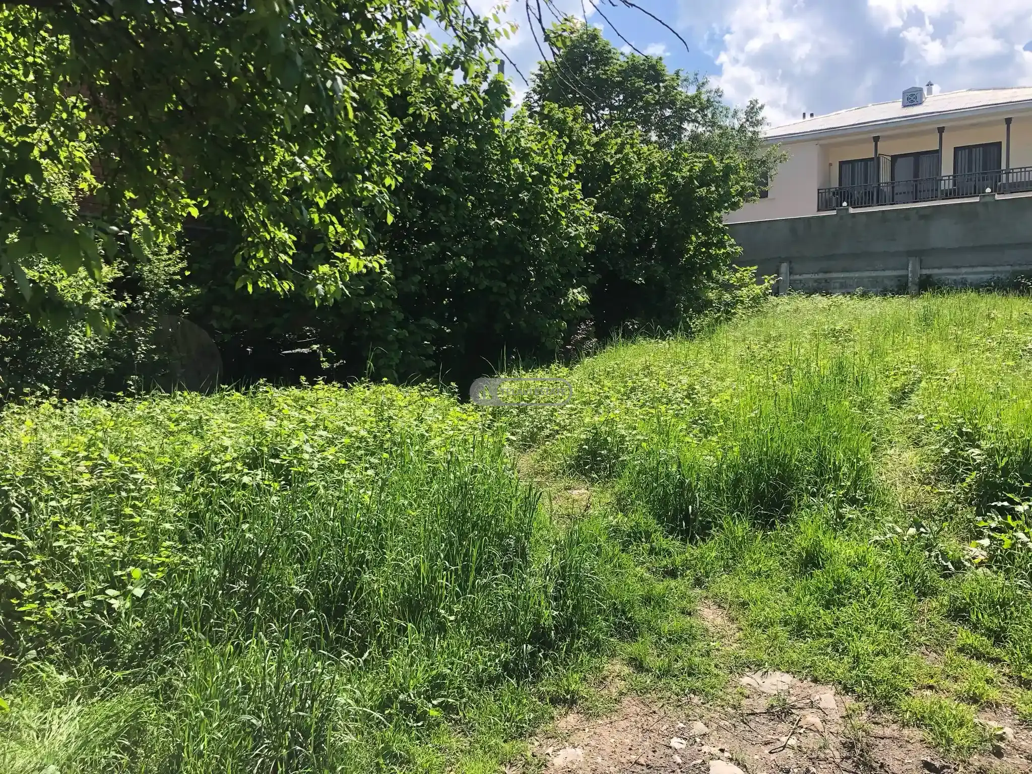 Продается участок под жилую застройку в Телави