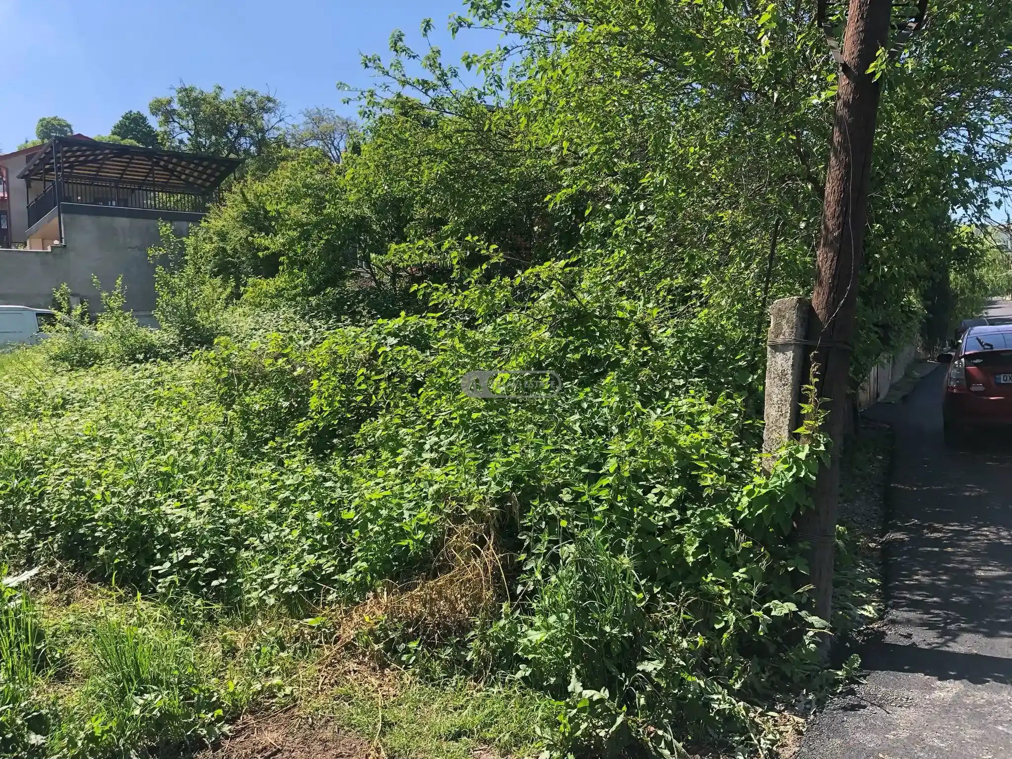 Продается участок под жилую застройку в Телави