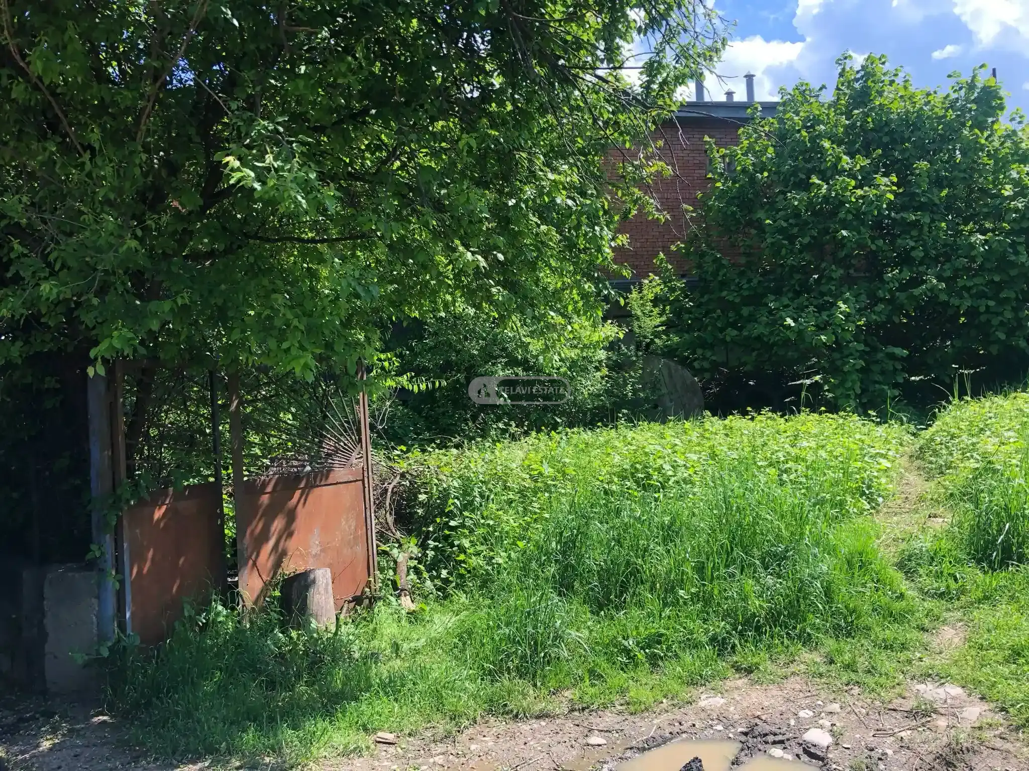 Продается участок под жилую застройку в Телави