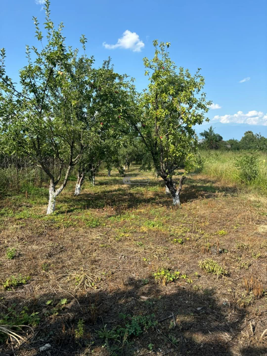 Hostel and Commercial Property for Sale in Vanta Village