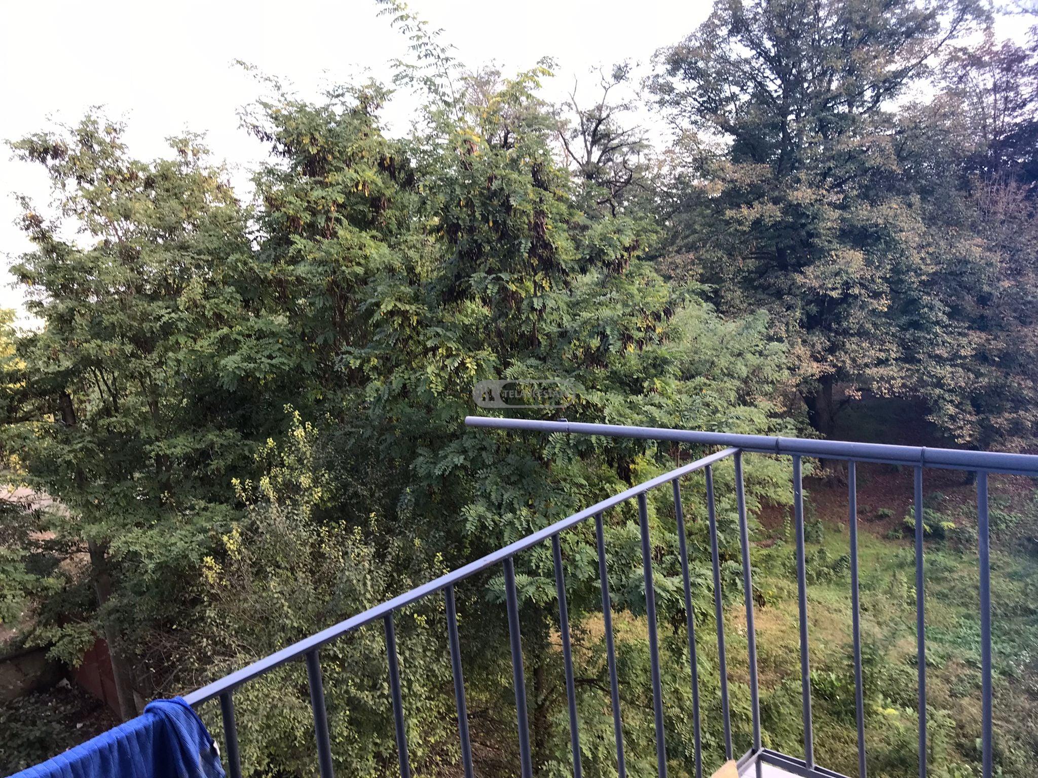 ოთახნახევრიანი ბინა თელავში