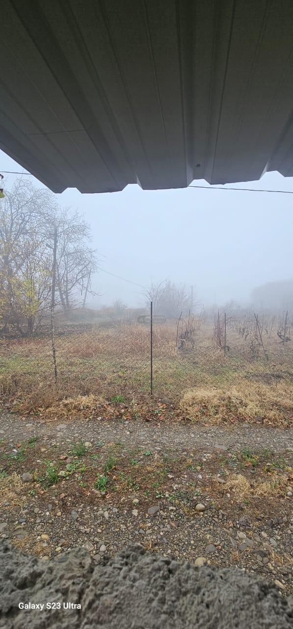 Жилой земельный участок в Цинандали