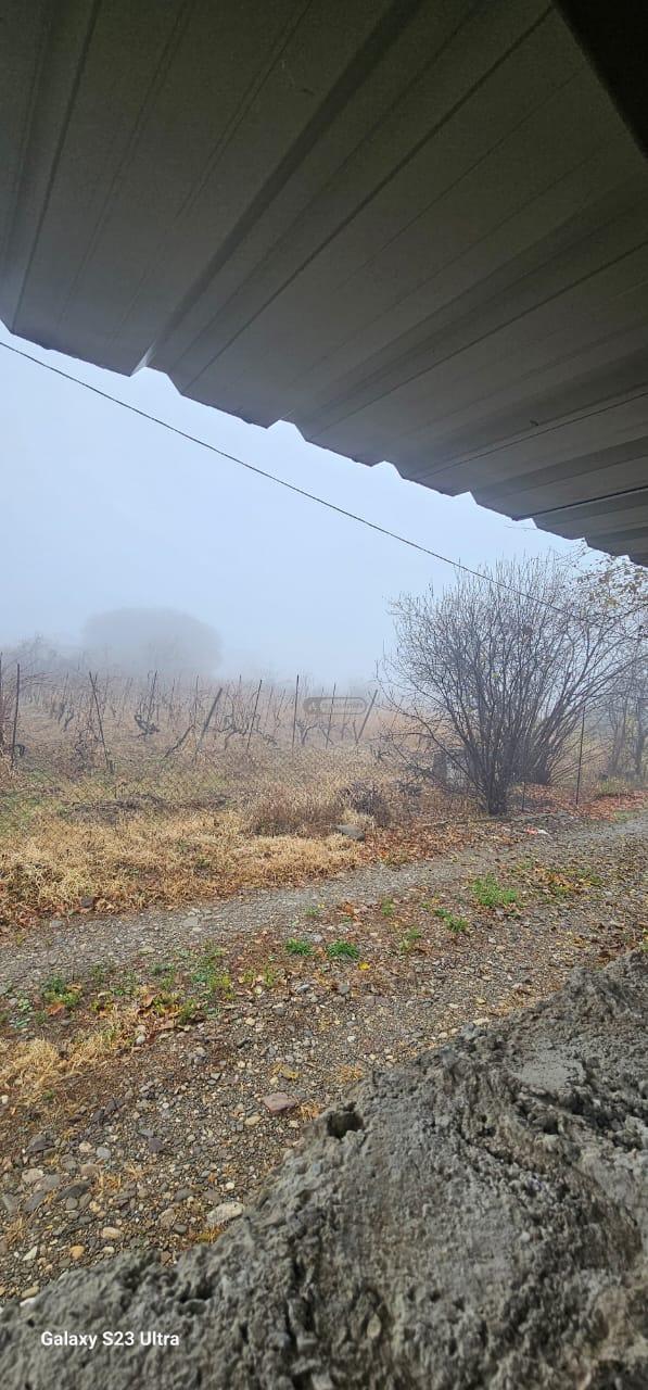 Жилой земельный участок в Цинандали