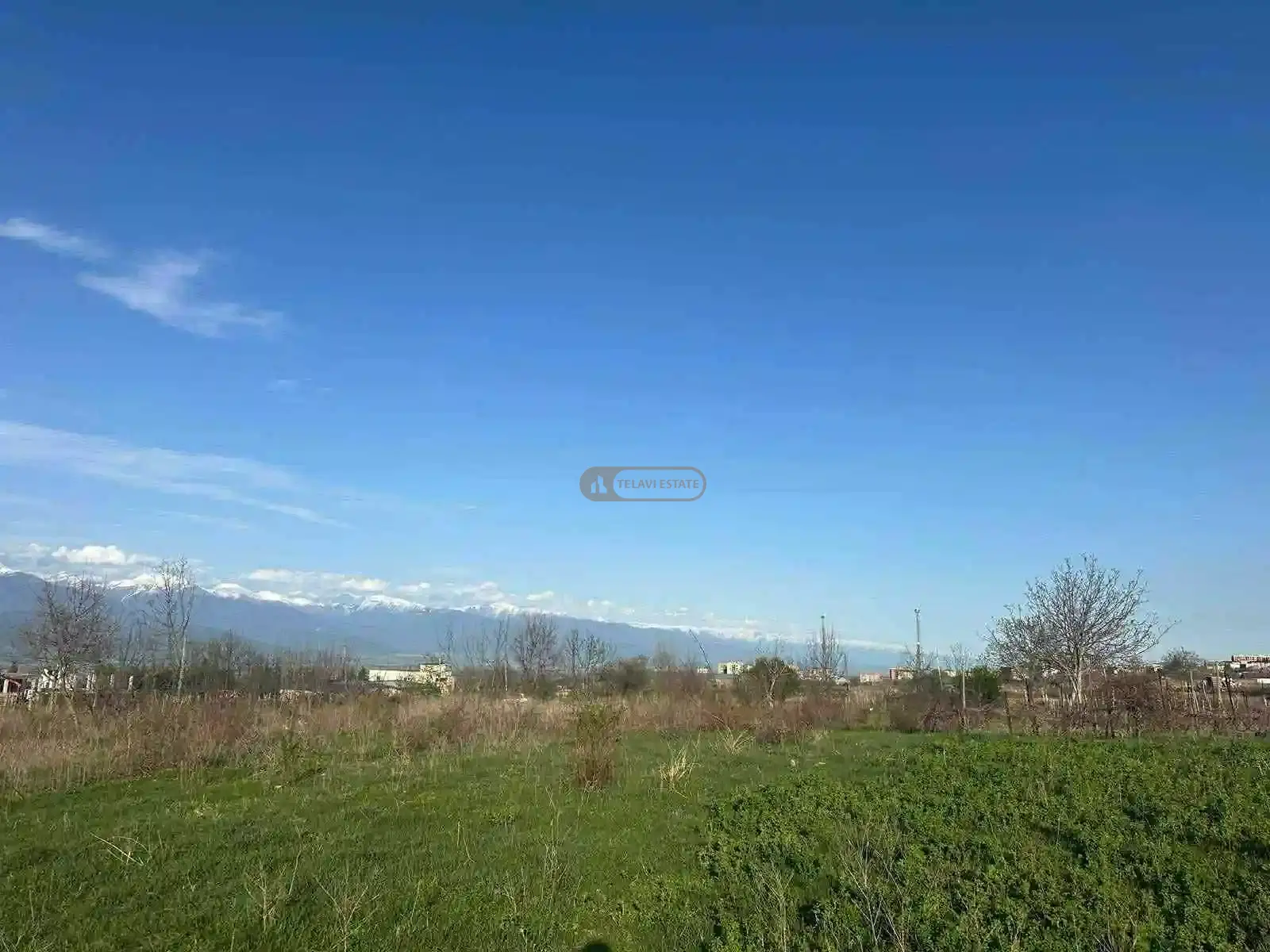 მიწის ნაკვეთი ვარდისუბანში