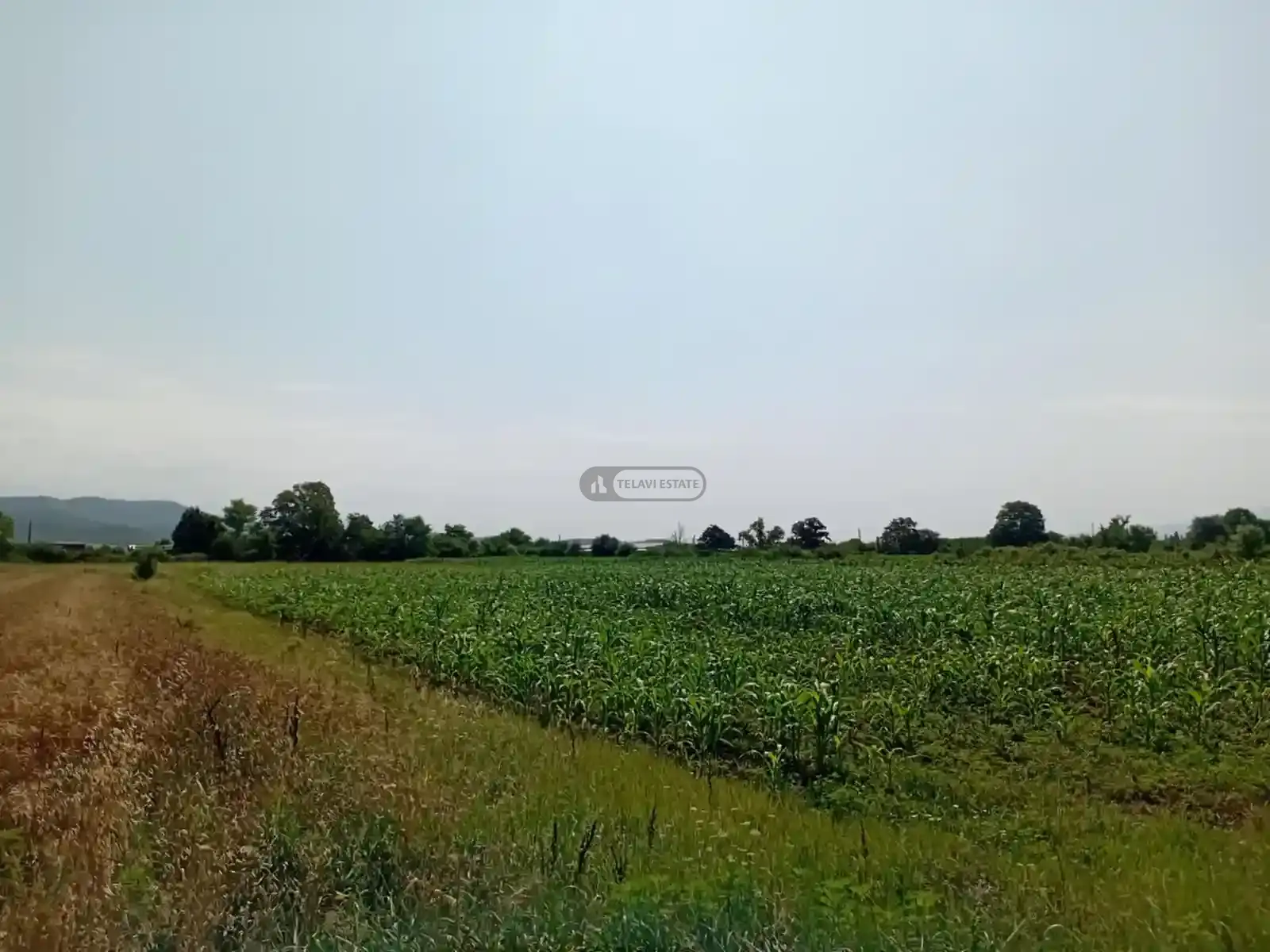 Продается земельный участок в Матани, Ахмета