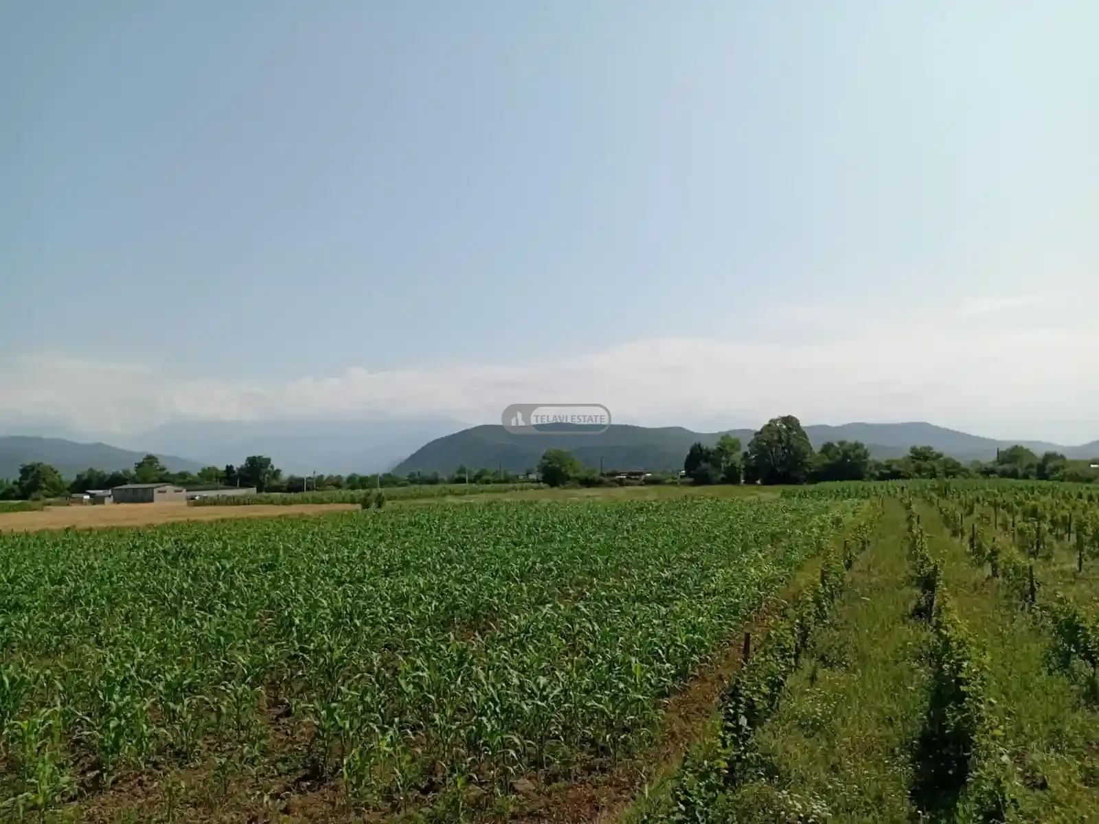 Продается земельный участок в Матани, Ахмета