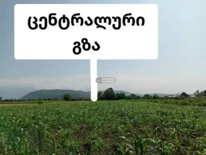 Продается земельный участок в Матани, Ахмета