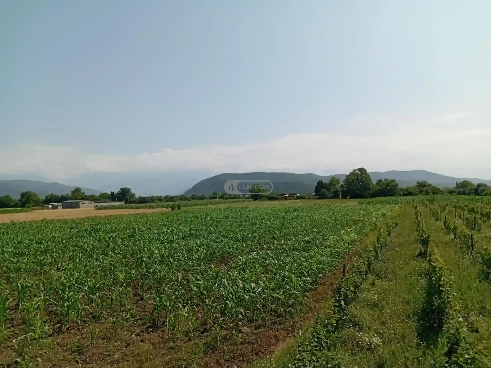 Продается земельный участок в Матани, Ахмета