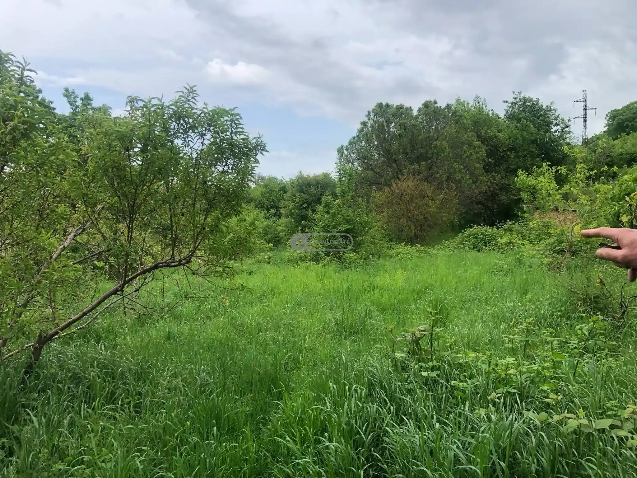 სახლი იყალთოში