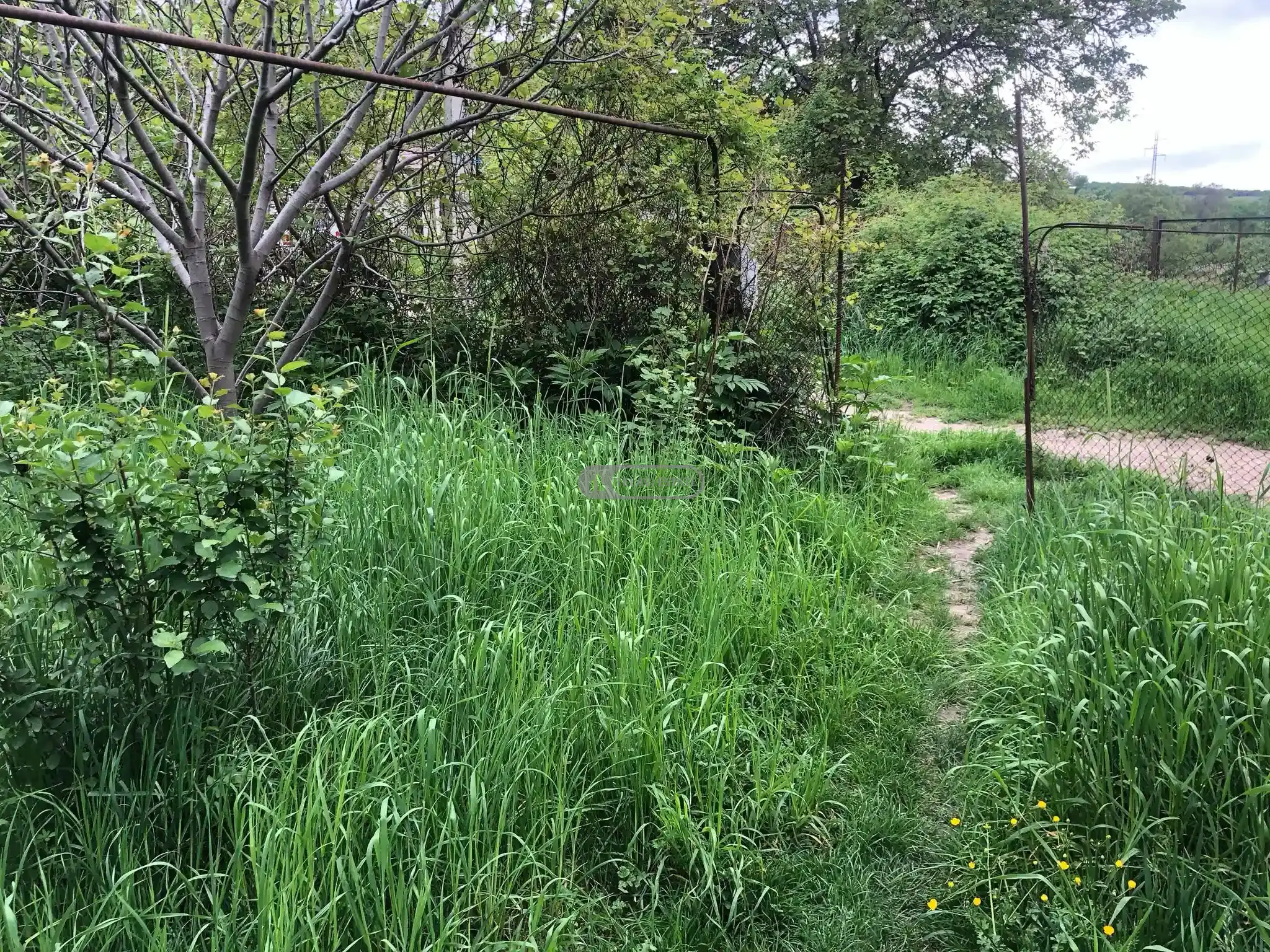 სახლი იყალთოში