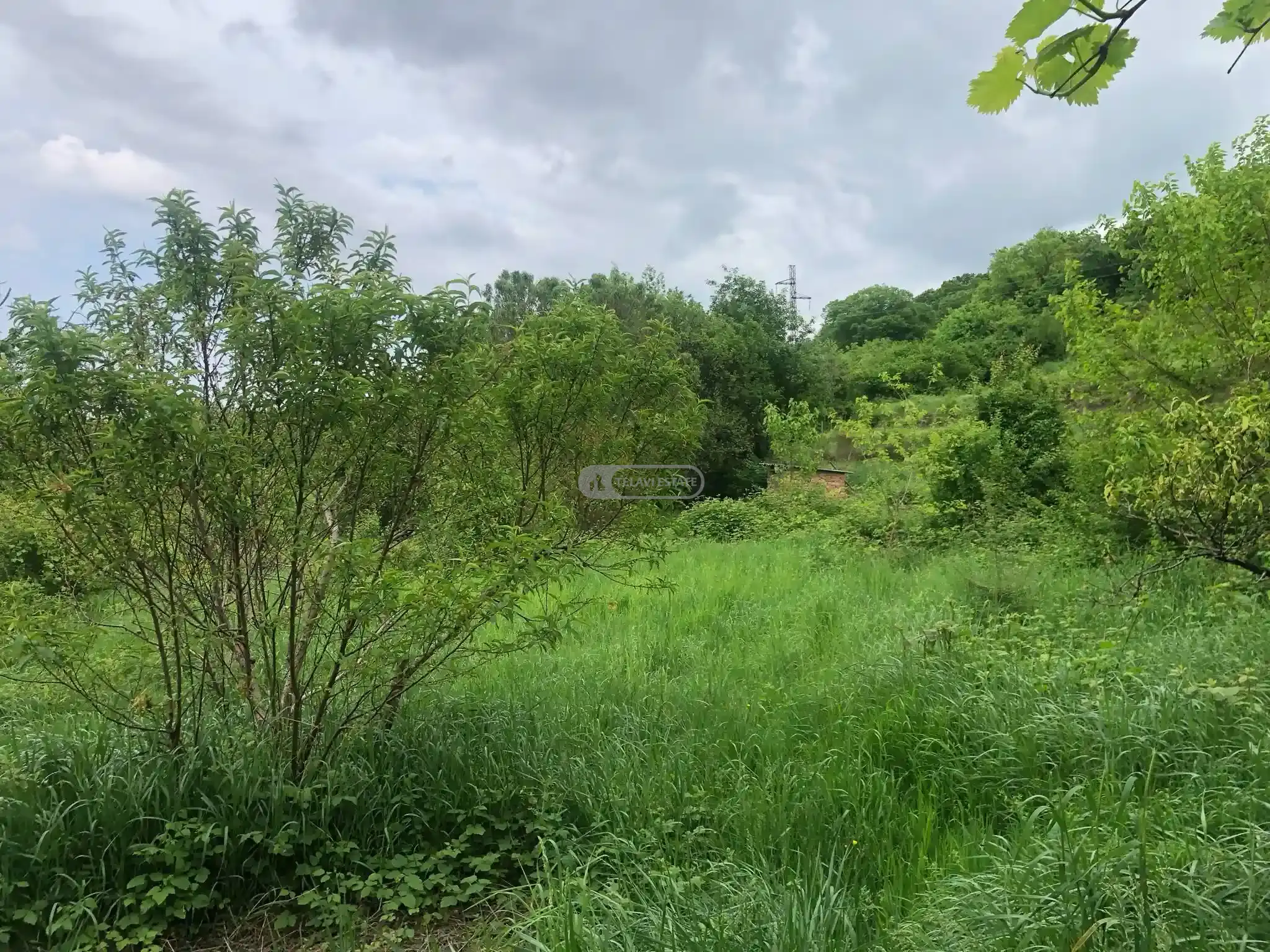 სახლი იყალთოში