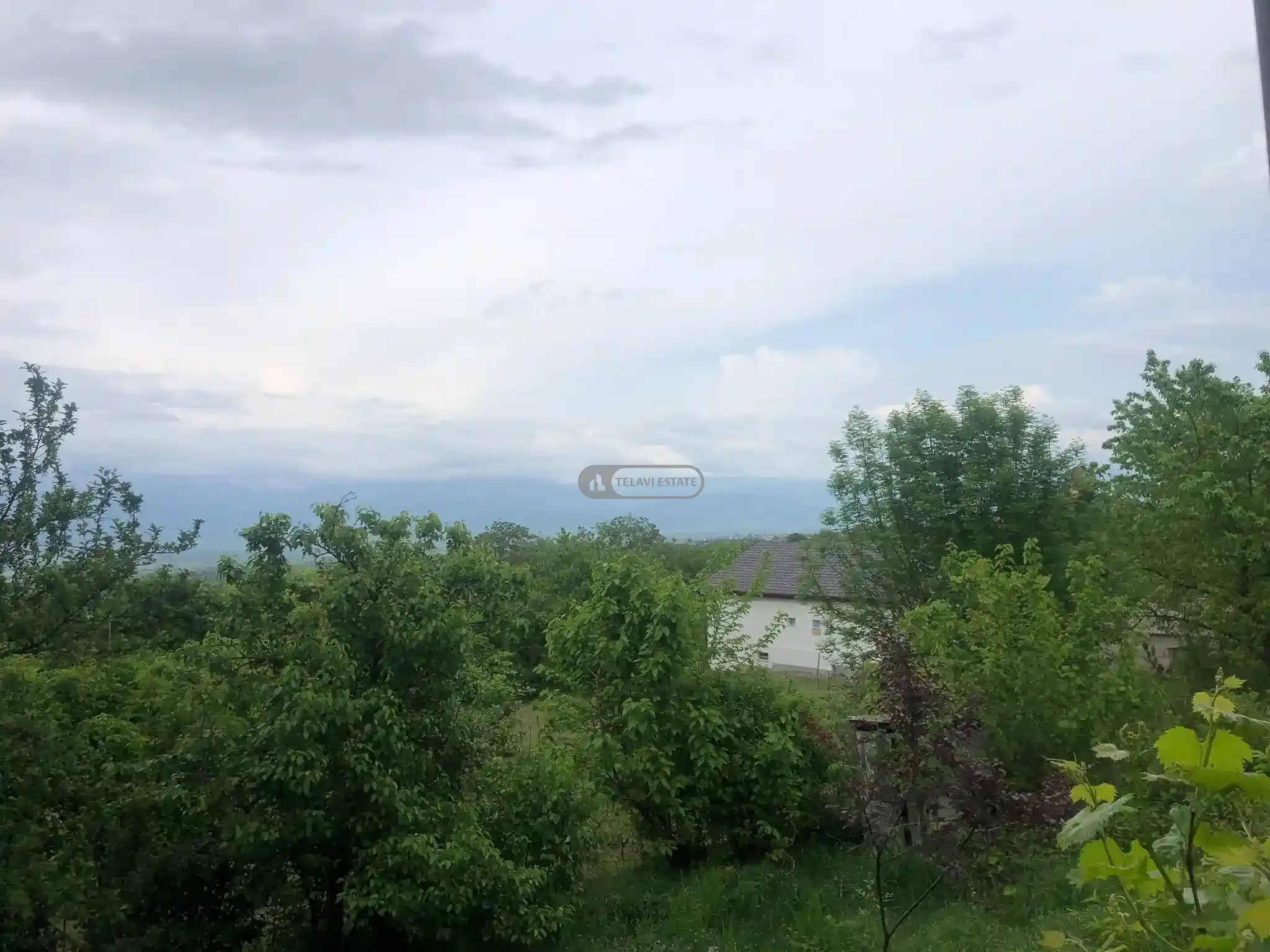 სახლი იყალთოში